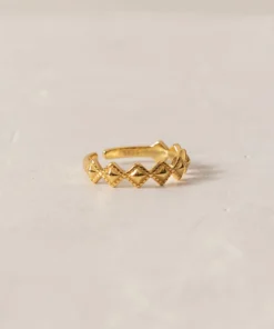 ALOHAS Cherimoya Gold Accessories 14 ALOHAS Cherimoya Gold Accessories