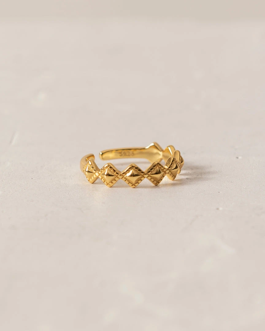 ALOHAS Cherimoya Gold Accessories 6 ALOHAS Cherimoya Gold Accessories