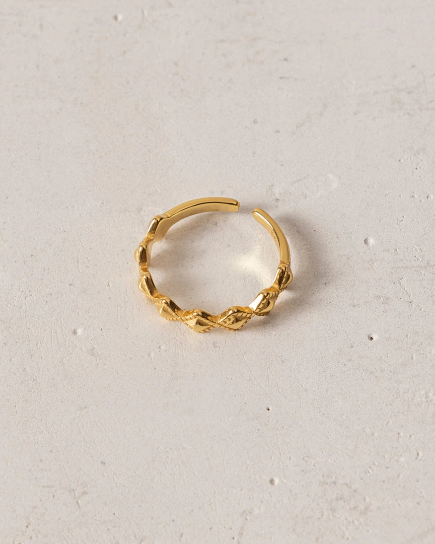 ALOHAS Cherimoya Gold Accessories 2 ALOHAS Cherimoya Gold Accessories