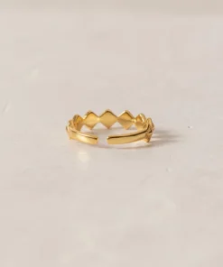 ALOHAS Cherimoya Gold Accessories 15 ALOHAS Cherimoya Gold Accessories