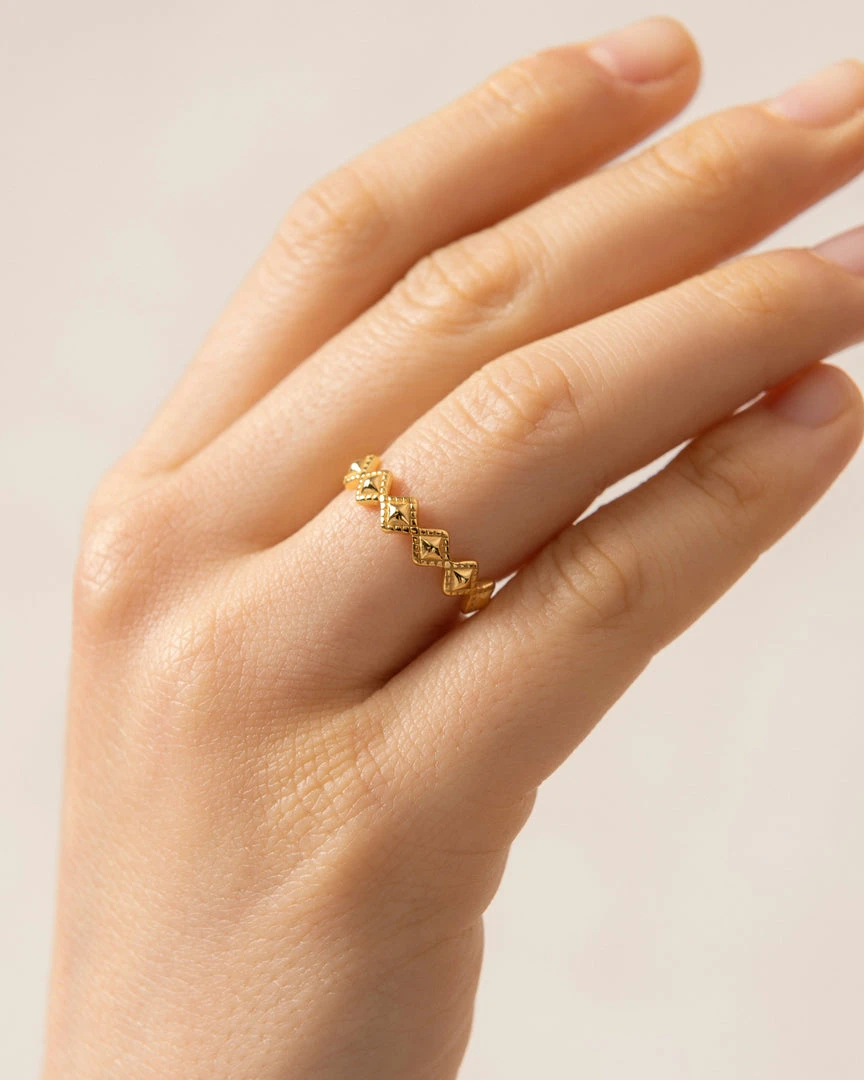 ALOHAS Cherimoya Gold Accessories 4 ALOHAS Cherimoya Gold Accessories