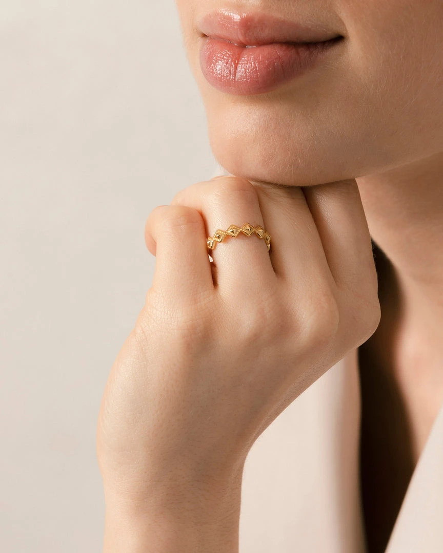 ALOHAS Cherimoya Gold Accessories 1 ALOHAS Cherimoya Gold Accessories