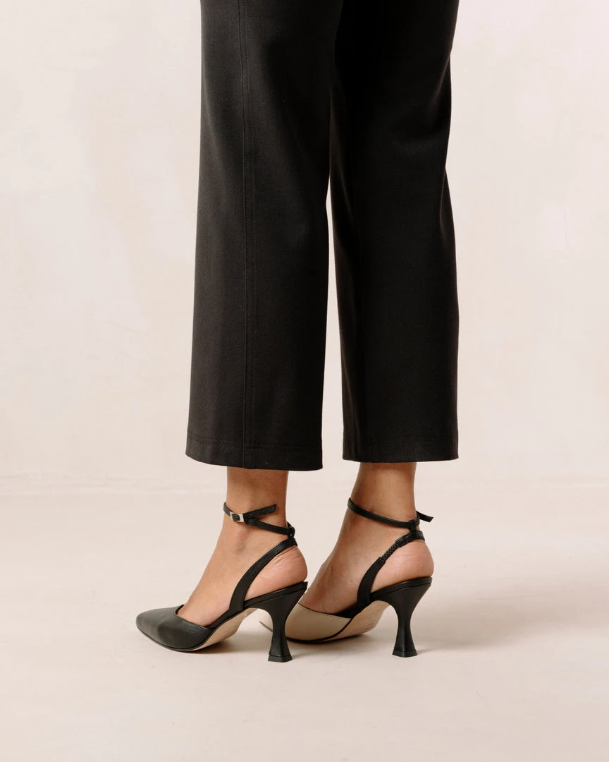 ALOHAS Cinderella Bicolor Black Ivory 8 ALOHAS Cinderella Bicolor Black Ivory