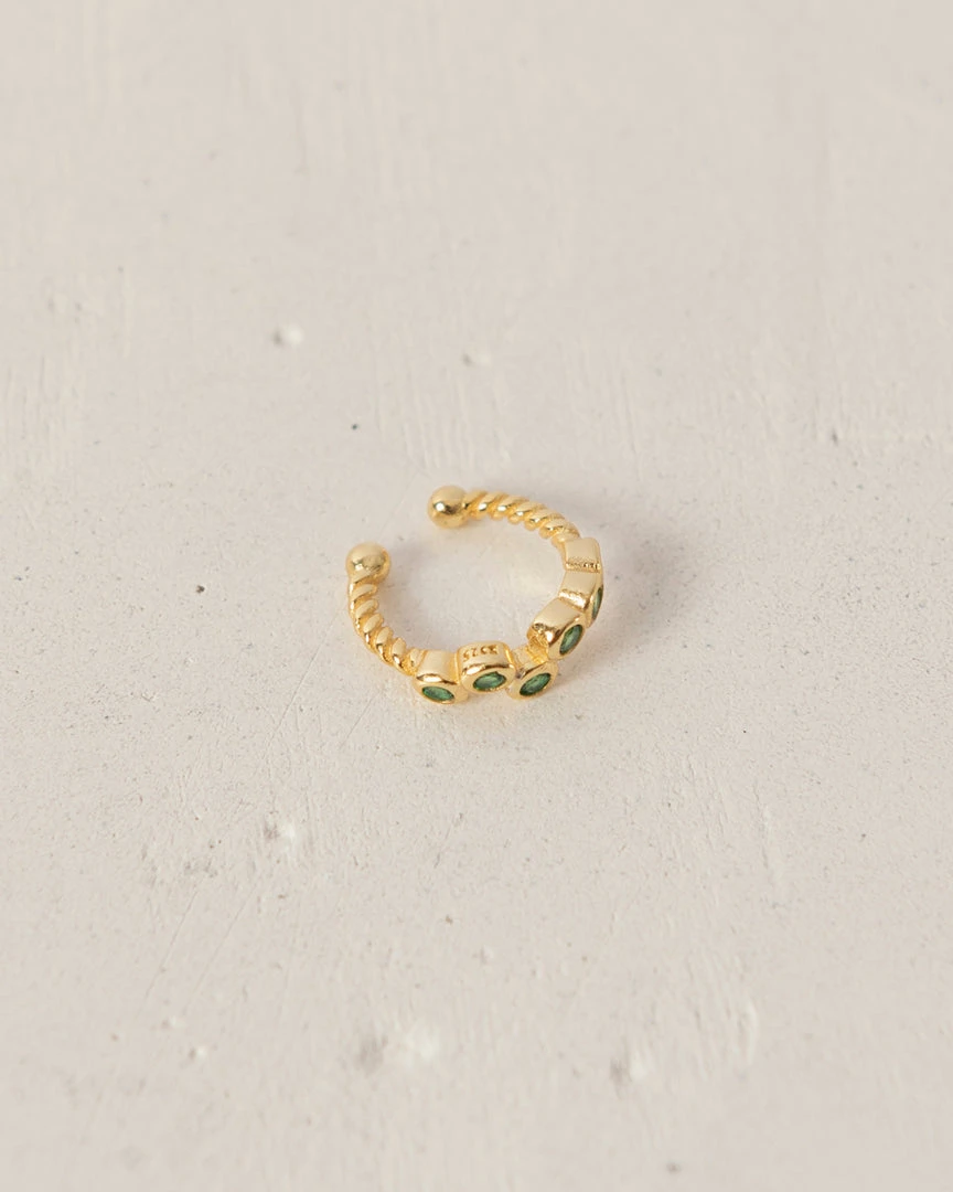 ALOHAS Jackfruit Green 1 ALOHAS Jackfruit Green