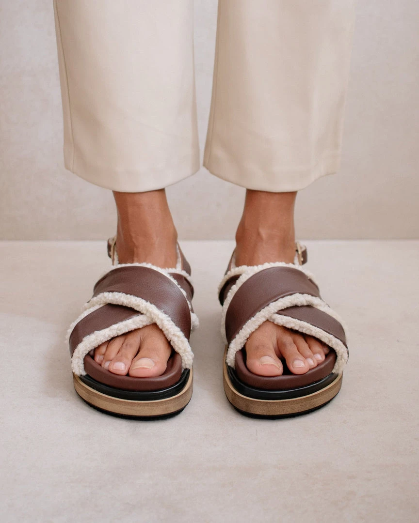 ALOHAS Marshmallow Brown 2 ALOHAS Marshmallow Brown