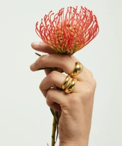 ALOHAS Simple Maxi Ring Gold Accessories